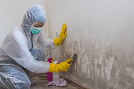 Best Forensic Mold Investigation in Corpus Christi, TX